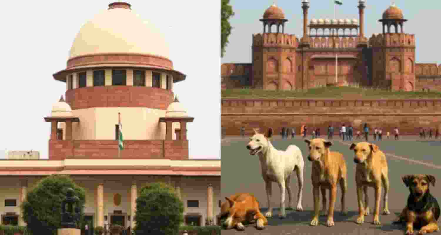 Dog menace case: SC refuses to exempt Chief Secys' presence Dog menace case: SC refuses to exempt Chief Secys' presence