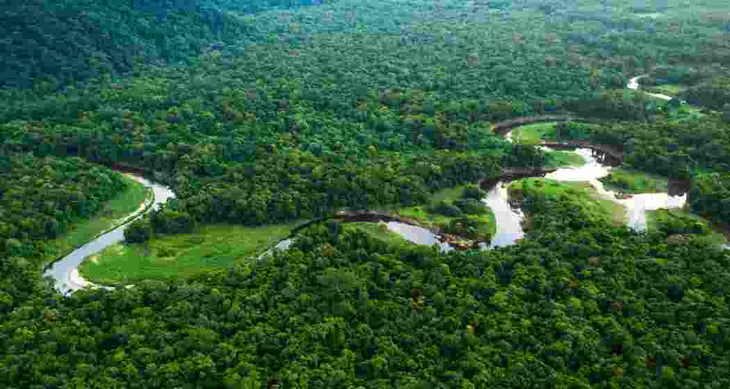 Image for representative use only. Image for representative use only.