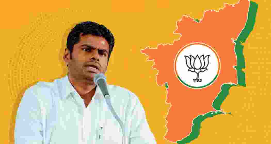 President of BJP Tamil Nadu, K Annamalai. President of BJP Tamil Nadu, K Annamalai.