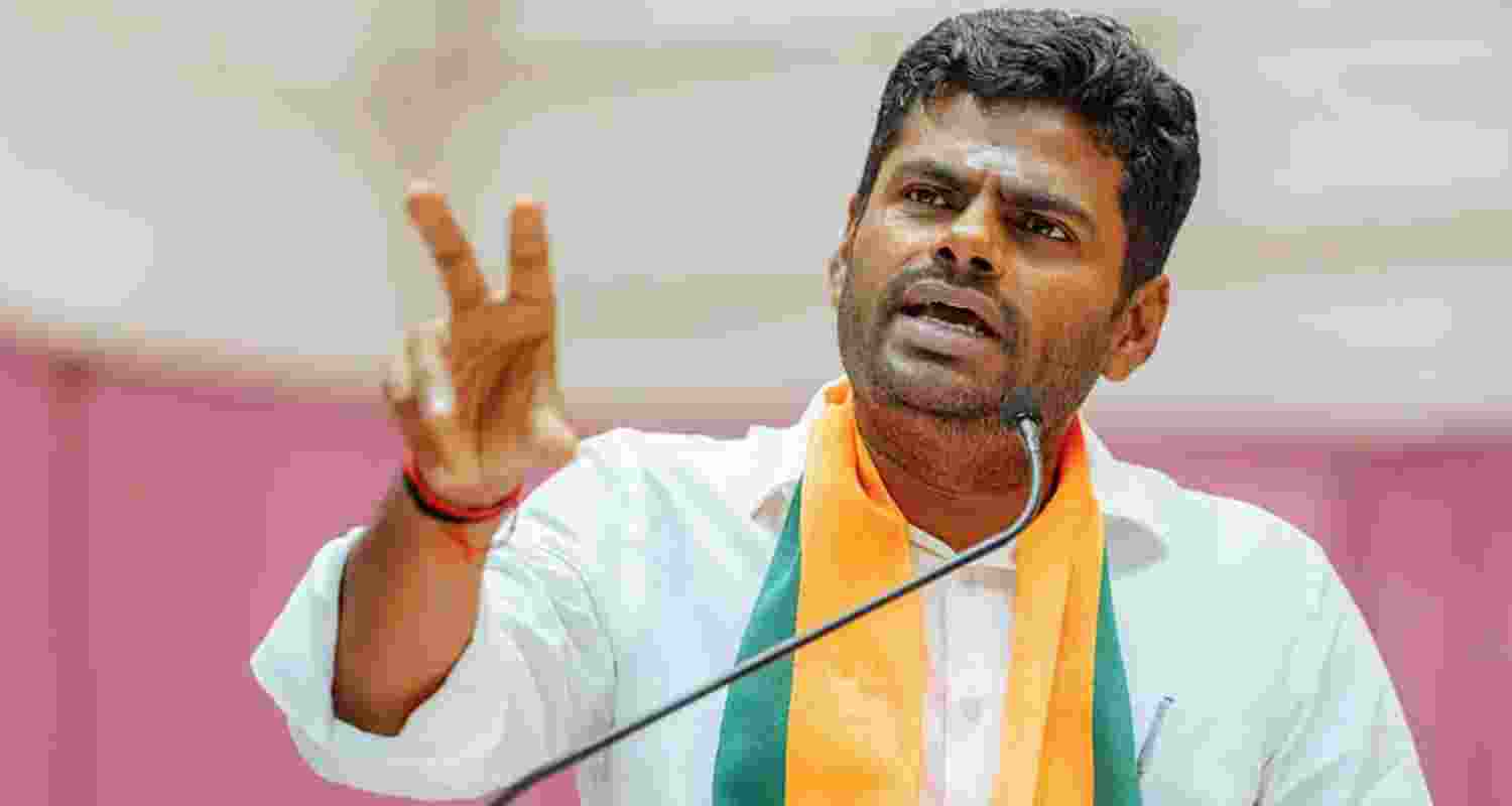 Former Tamil Nadu BJP president Annamalai - file image. Former Tamil Nadu BJP president Annamalai - file image.