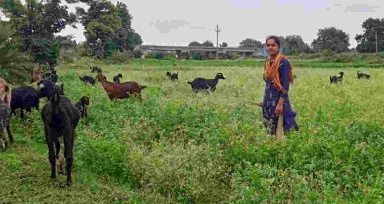 From grazing goats to IIT, T'gana tribal girl comes a long way From grazing goats to IIT, T'gana tribal girl comes a long way