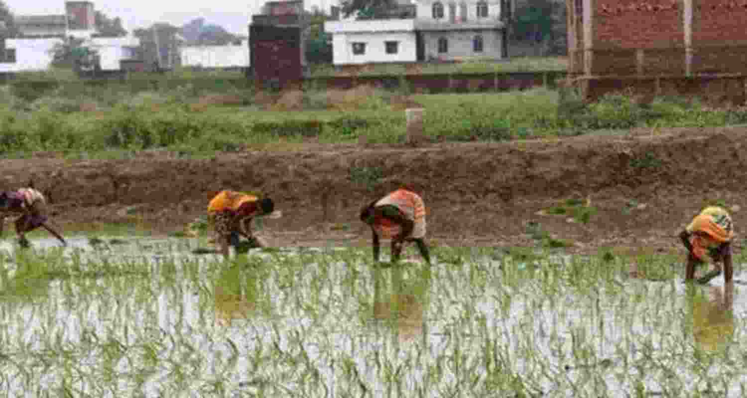 A representative image. A representative image.