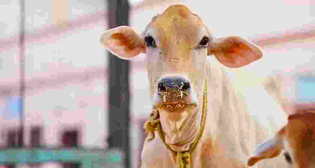 Representational image. Representational image.