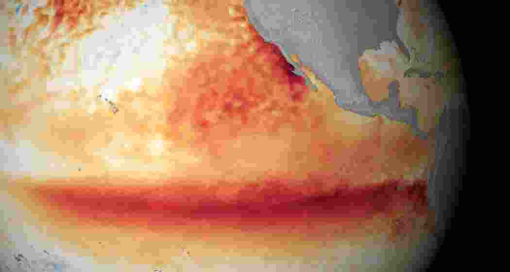 Satellite sea surface temperature changes recorded in the Pacific back during a October 2015 El Niño. Darker orange-red colors indicate above normal temperatures. Credit: NOAA Satellite sea surface temperature changes recorded in the Pacific back during a October 2015 El Niño. Darker orange-red colors indicate above normal temperatures. Credit: NOAA