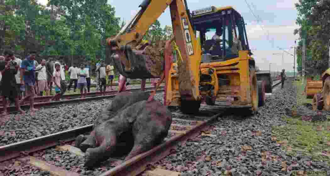 The carcass of an elephant calf being removed from the tracks by an earthmover near Banstala station in Jhargram, close to the Bengal–Jharkhand border, on Friday. The carcass of an elephant calf being removed from the tracks by an earthmover near Banstala station in Jhargram, close to the Bengal–Jharkhand border, on Friday.