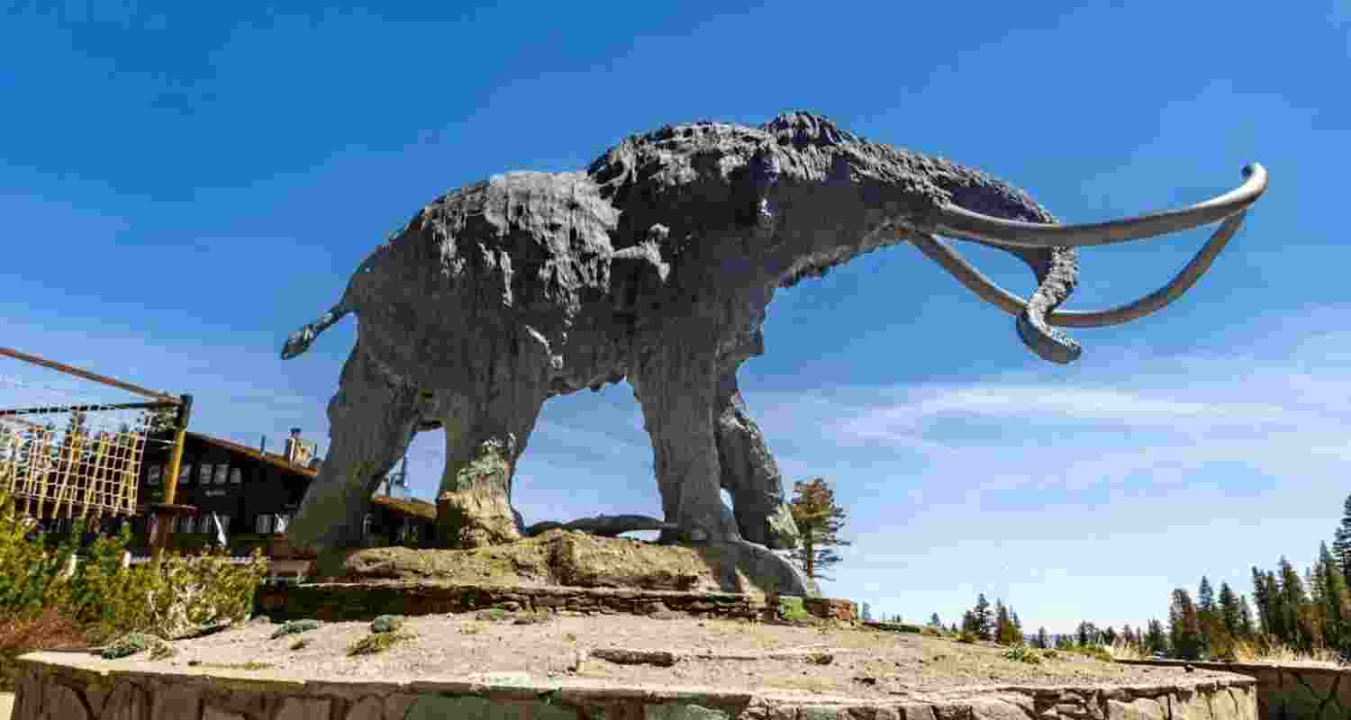 Does the hope of ‘resurrection’ make extinction acceptable? Does the hope of ‘resurrection’ make extinction acceptable?