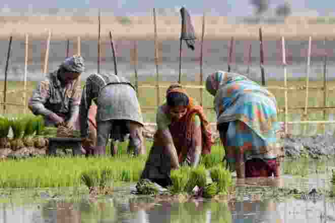 Retail Inflation for farm workers eases to 5.96%, rural at 6.08% in August Retail Inflation for farm workers eases to 5.96%, rural at 6.08% in August