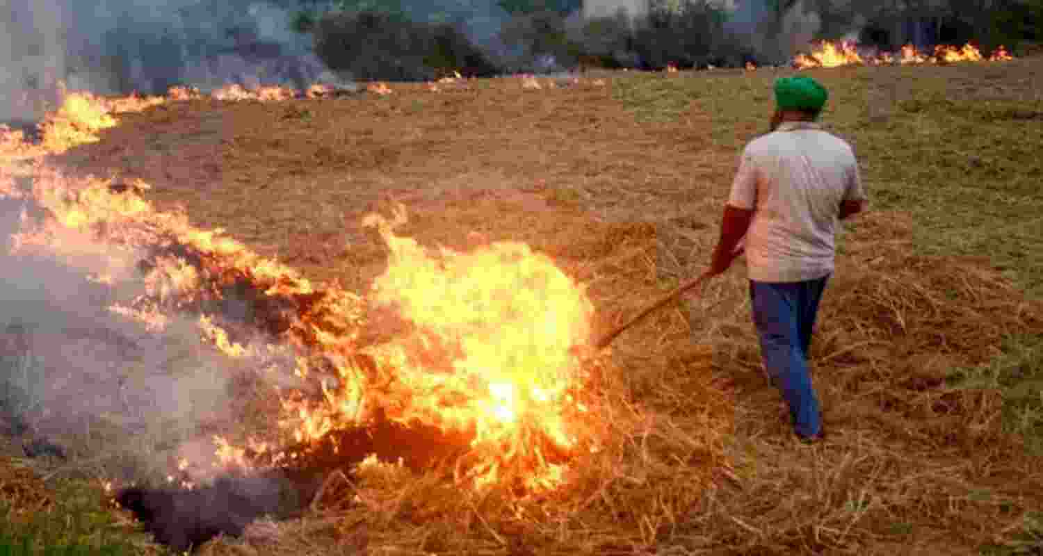 Representative Image. Representative Image.