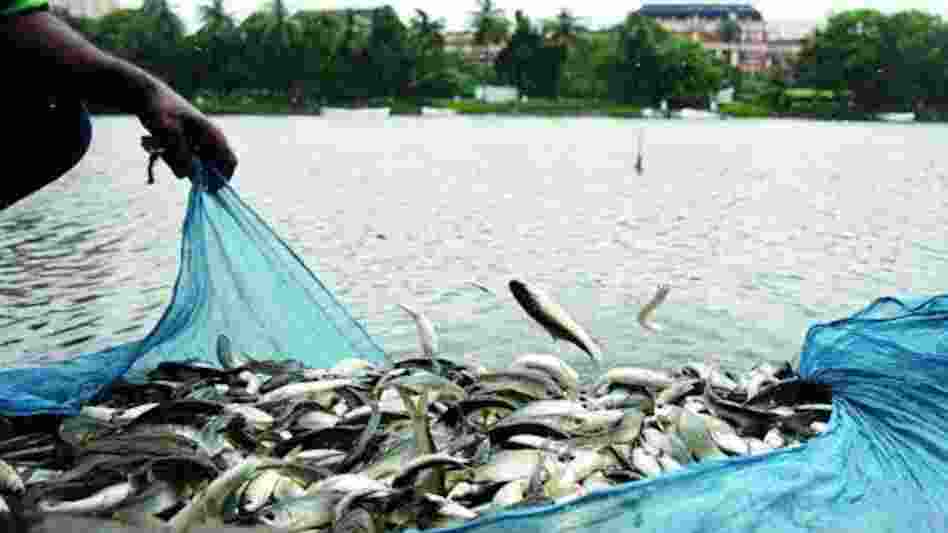 The Tripura government is set to establish an integrated aqua park in the Unakoti district to enhance tourism and the fisheries sector, according to an official statement on Wednesday. The Tripura government is set to establish an integrated aqua park in the Unakoti district to enhance tourism and the fisheries sector, according to an official statement on Wednesday.