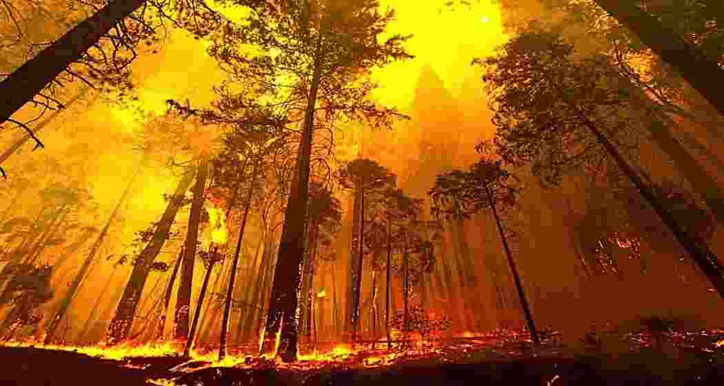 Representative image. Representative image.