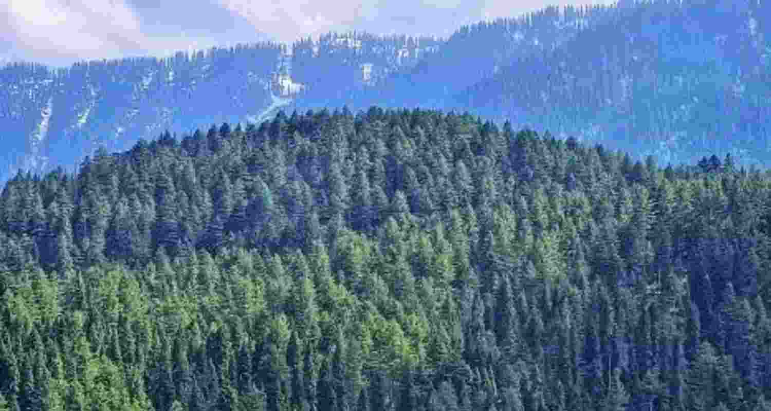 Representative image. Representative image.