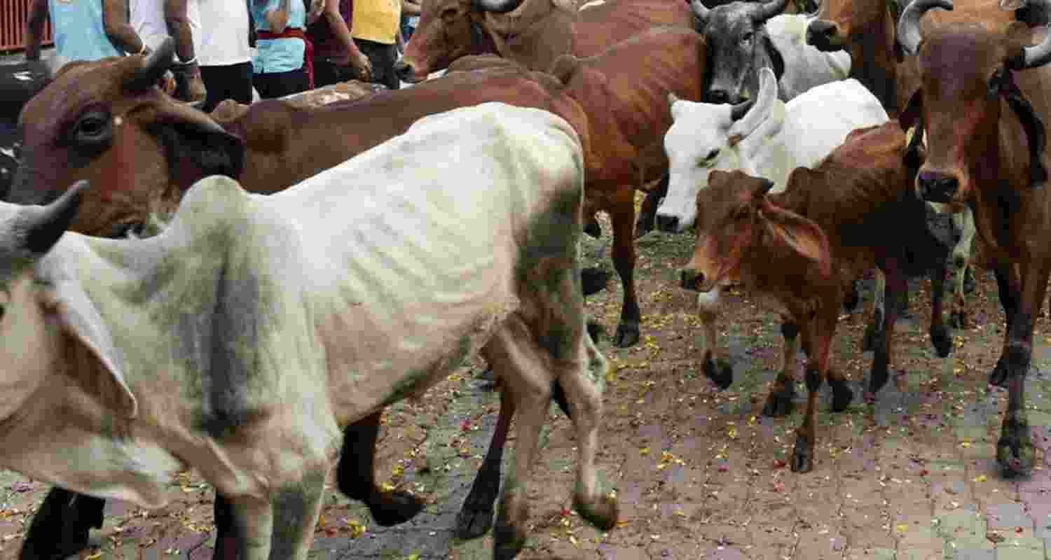 Representational image. Representational image.