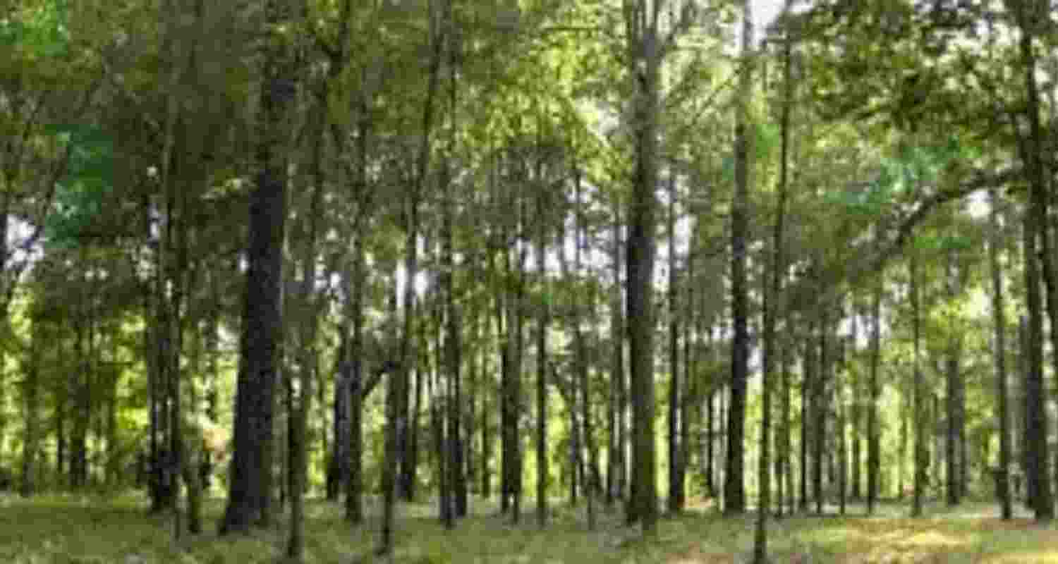 Representational image. Representational image.