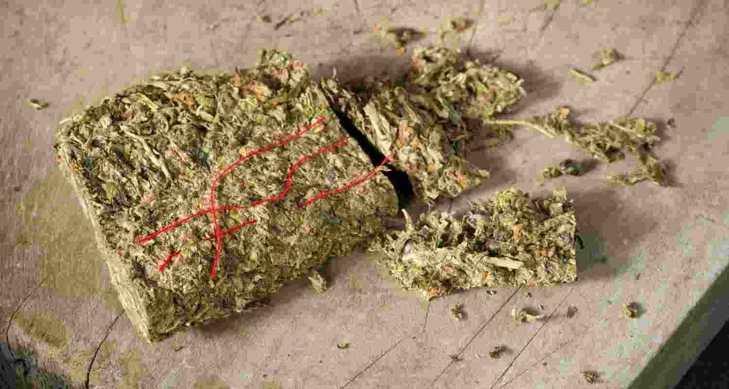 Representative Image. Representative Image.