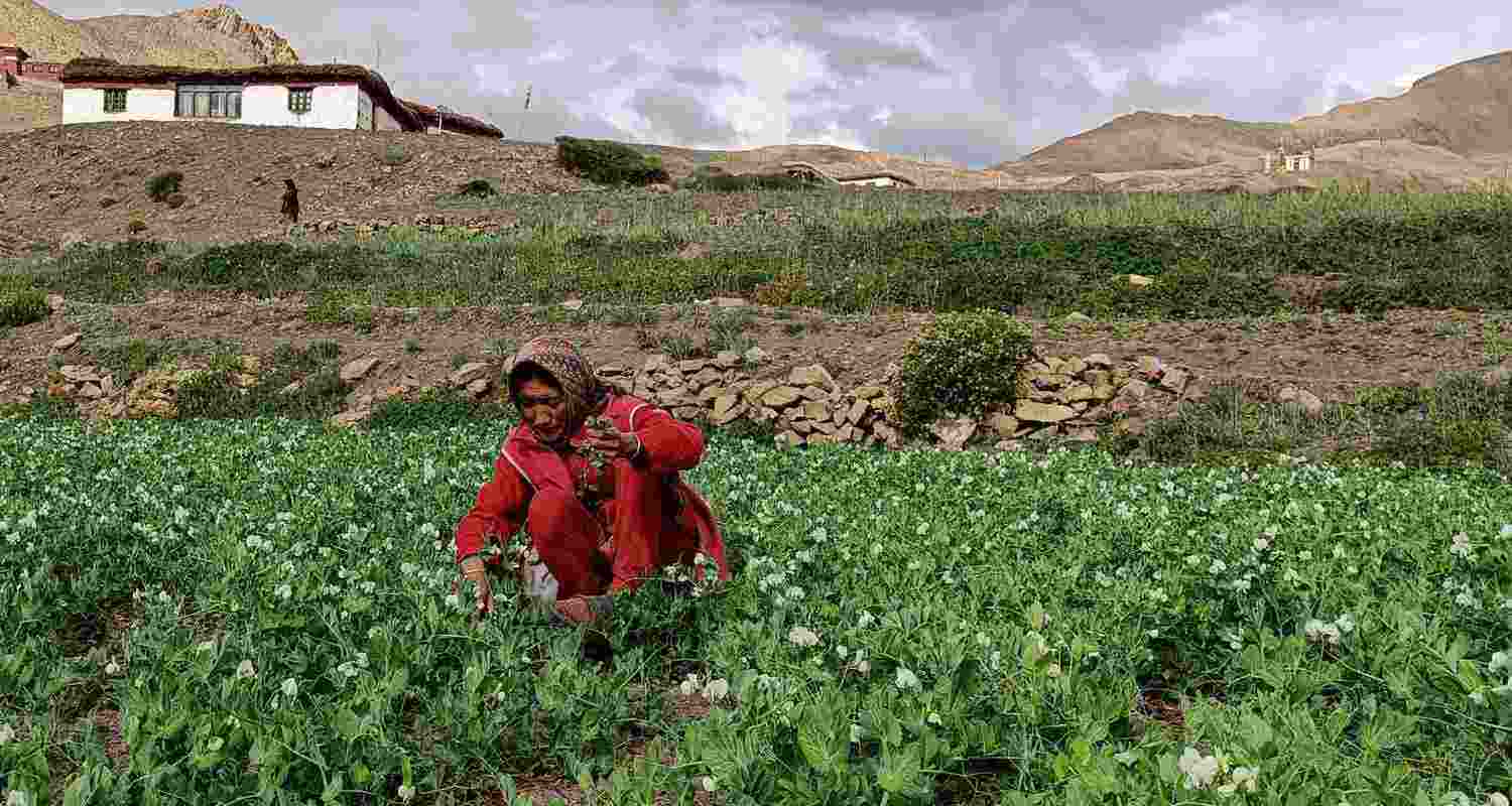 Representative Image. Representative Image.