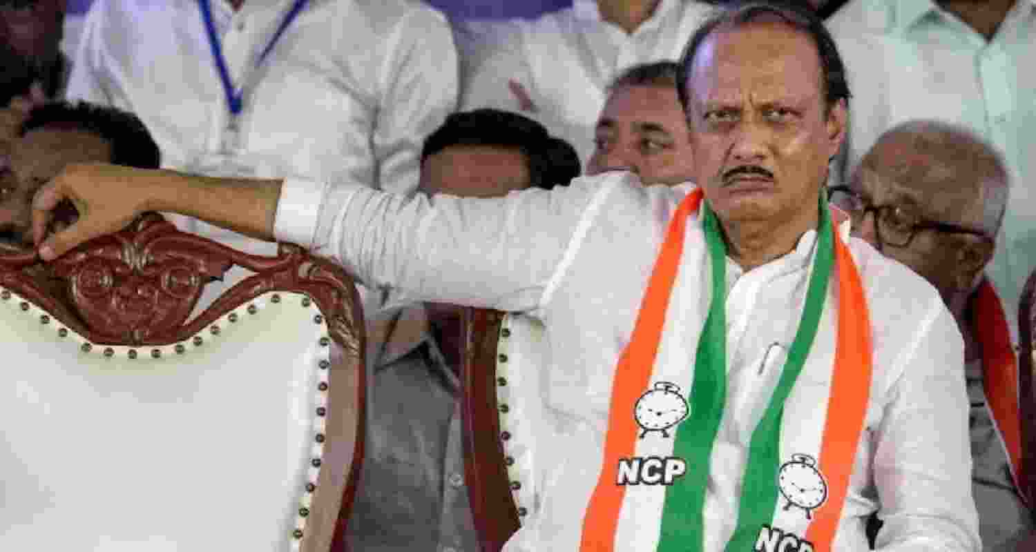 NCP to fight Maharshtra civic body elections independently NCP to fight Maharshtra civic body elections independently