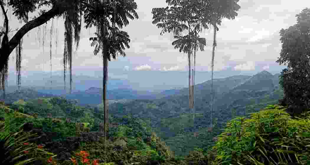 Image for representative use only. Image for representative use only.