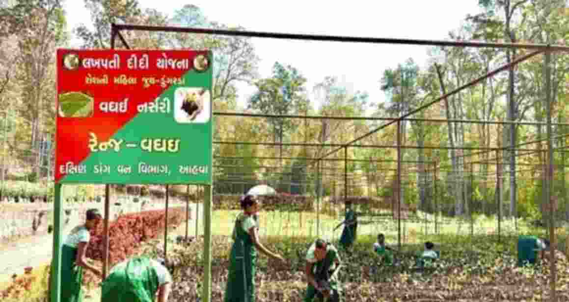 South Dang Forest Division in Gujarat successfully implemented the Lakhpati Didi Yojana, empowering the tribal women through sustainable livelihoods and self-employment South Dang Forest Division in Gujarat successfully implemented the Lakhpati Didi Yojana, empowering the tribal women through sustainable livelihoods and self-employment