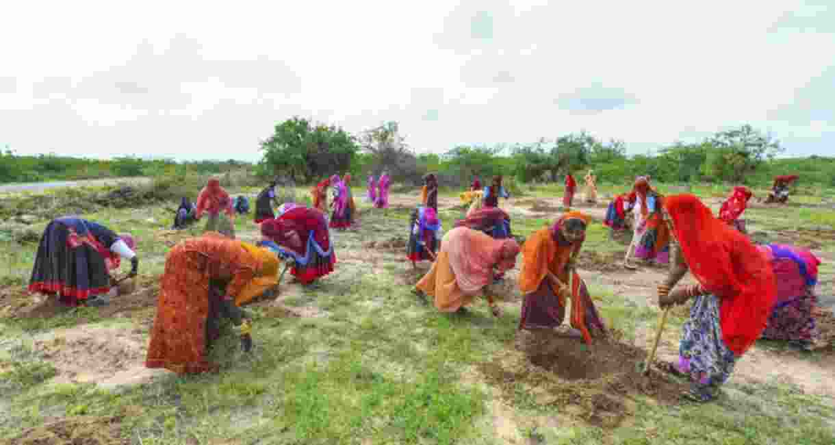 MGNREGA set to resume in Bengal after long impasse MGNREGA set to resume in Bengal after long impasse
