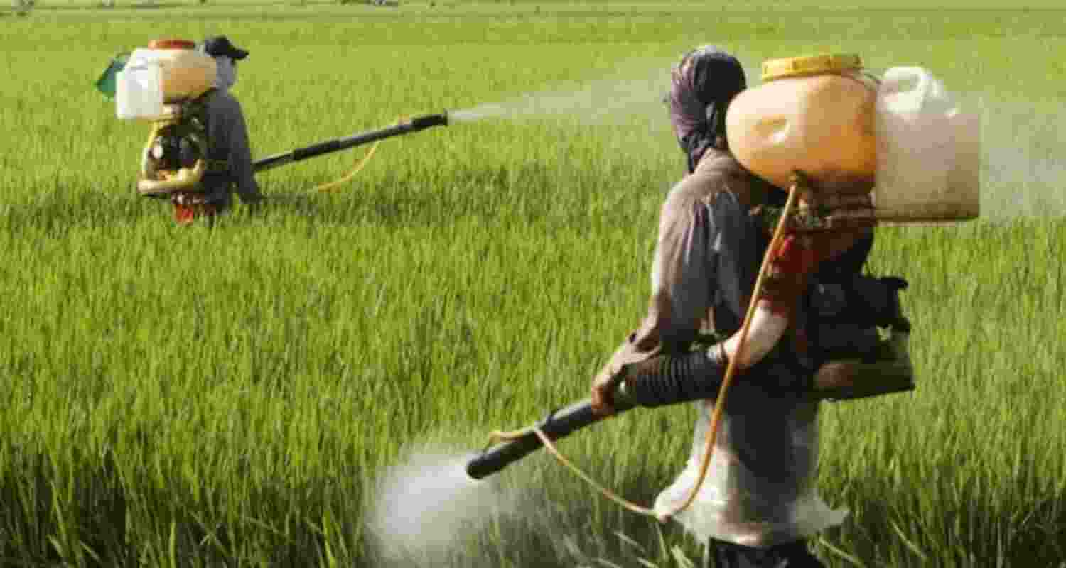 Representational Image. Representational Image.