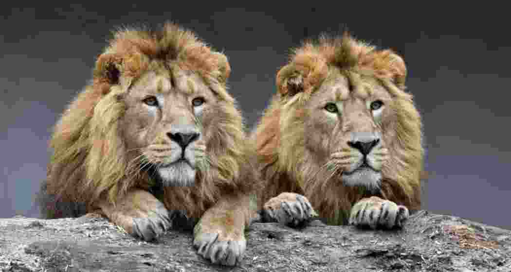 Representational image. Representational image.
