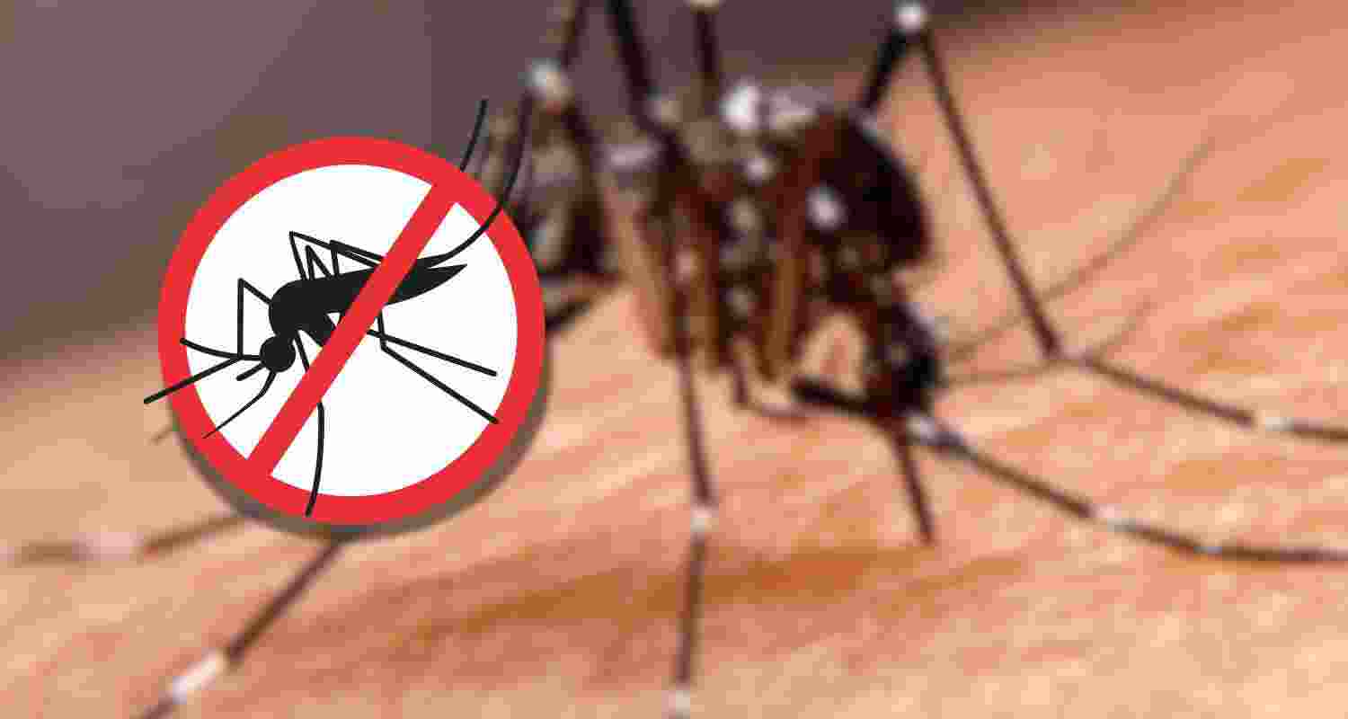 Representative Image. Representative Image.