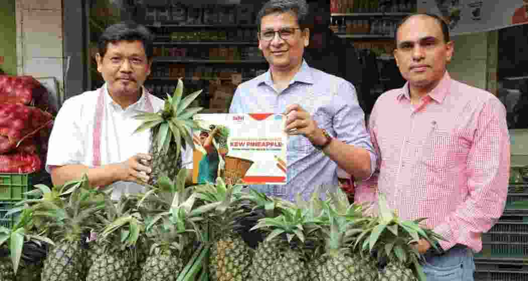 Meghalaya Chief Minister Conrad K. Sangma visits a Safal outlet in New Delhi, promoting the state's agricultural produce as pineapples reach the national capital on Sunday, June 23. Meghalaya Chief Minister Conrad K. Sangma visits a Safal outlet in New Delhi, promoting the state's agricultural produce as pineapples reach the national capital on Sunday, June 23.
