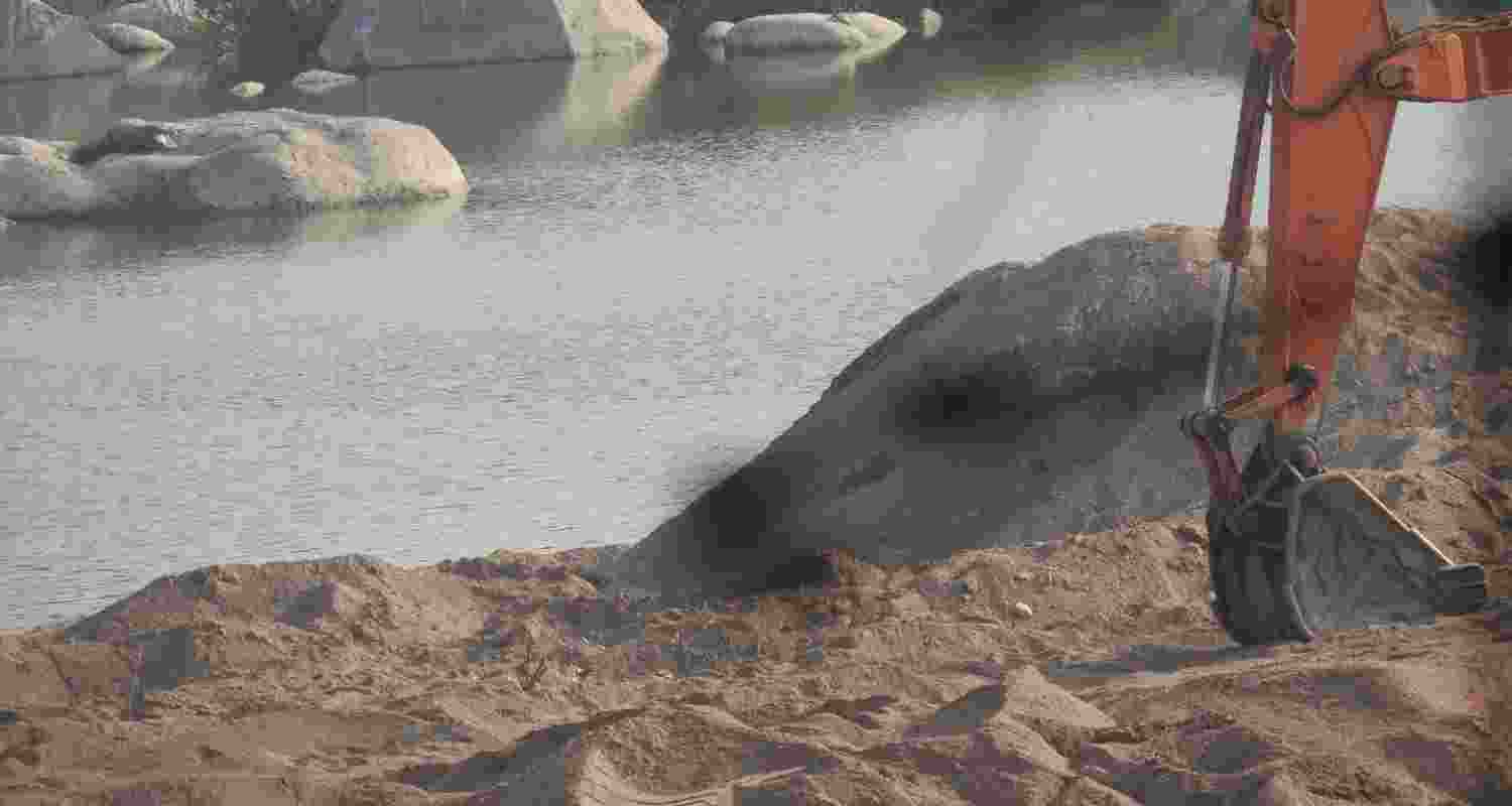 Representational image. Representational image.