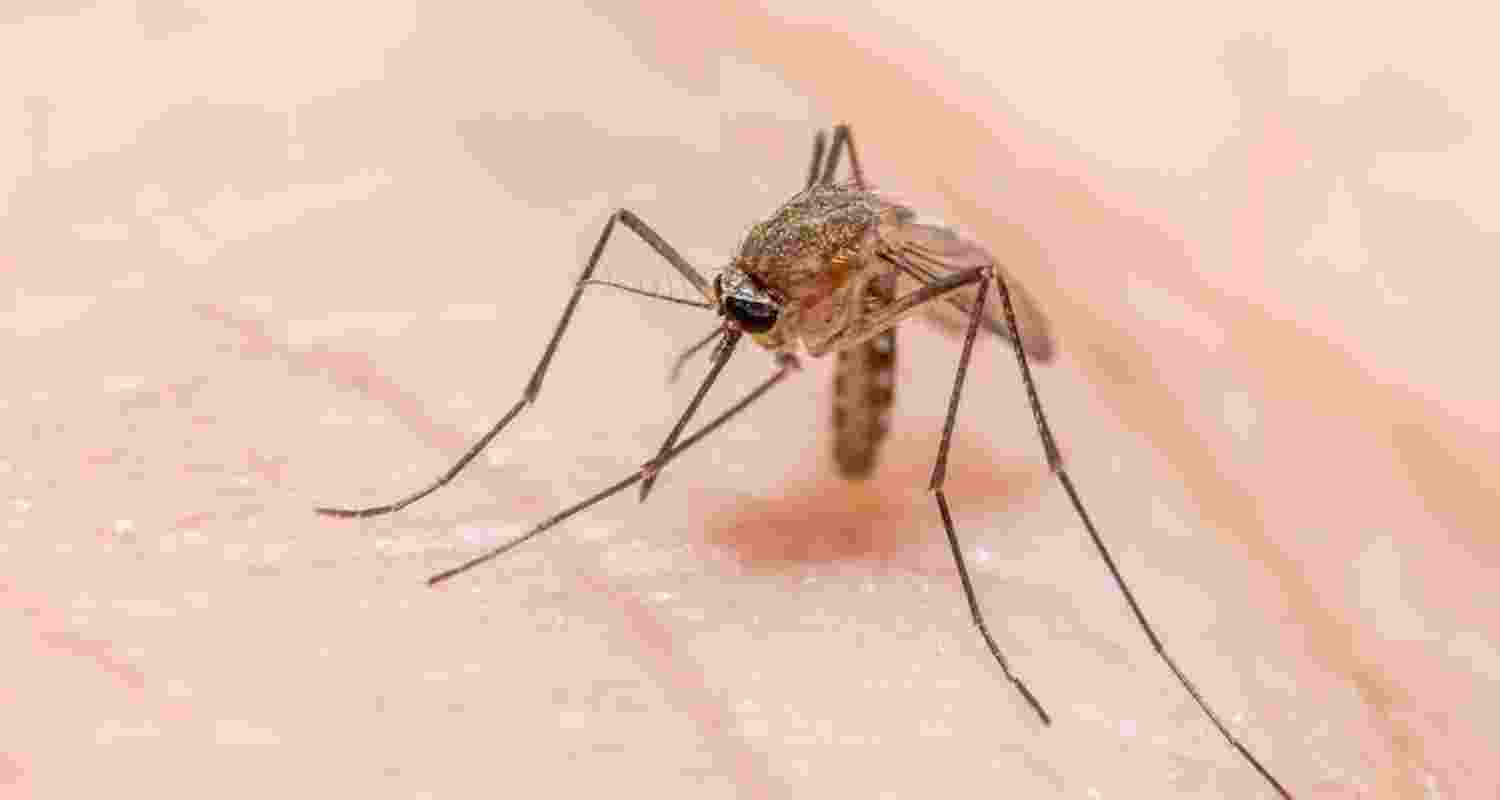 Image for representative use. Image for representative use.