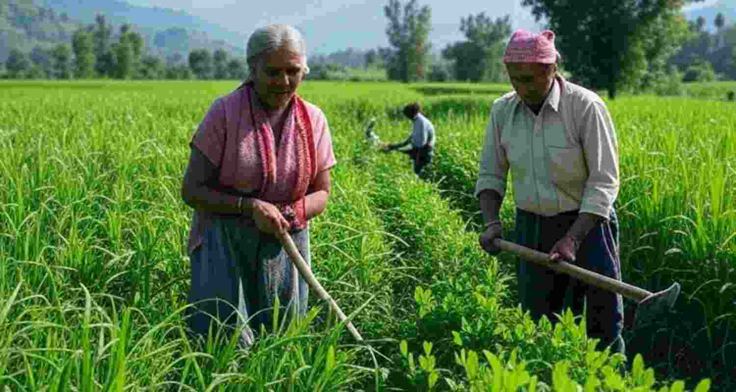 Representative Image. Representative Image.