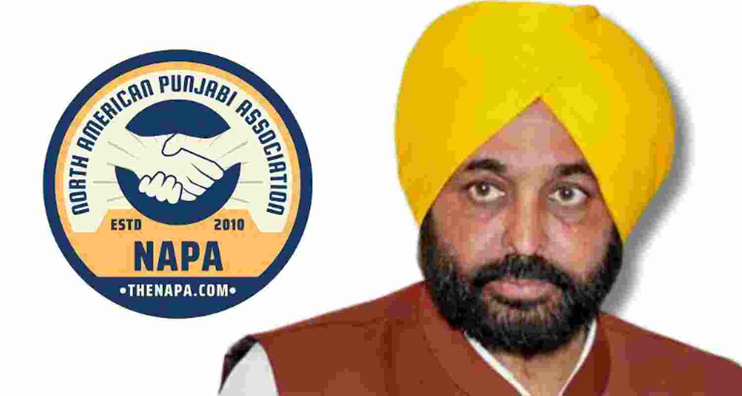 NAPA logo, Punjab CM Bhagwant Singh Mann. NAPA logo, Punjab CM Bhagwant Singh Mann.