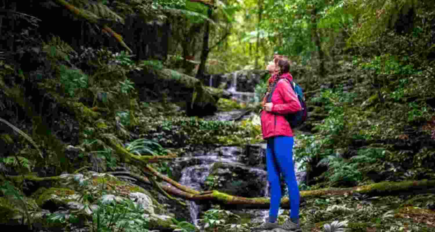 Representational image. Representational image.