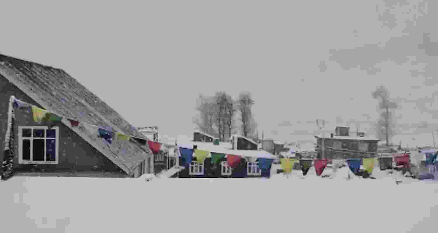 Snowfall delights tourists in Himachal Snowfall delights tourists in Himachal