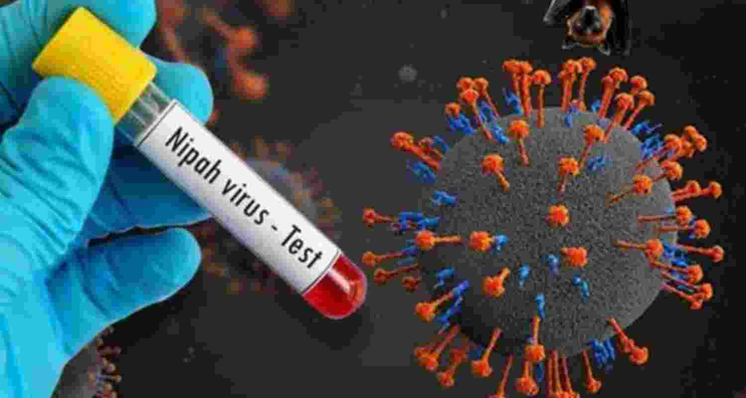 Kerala on alert after Nipah case confirmed in Palakkad Kerala on alert after Nipah case confirmed in Palakkad