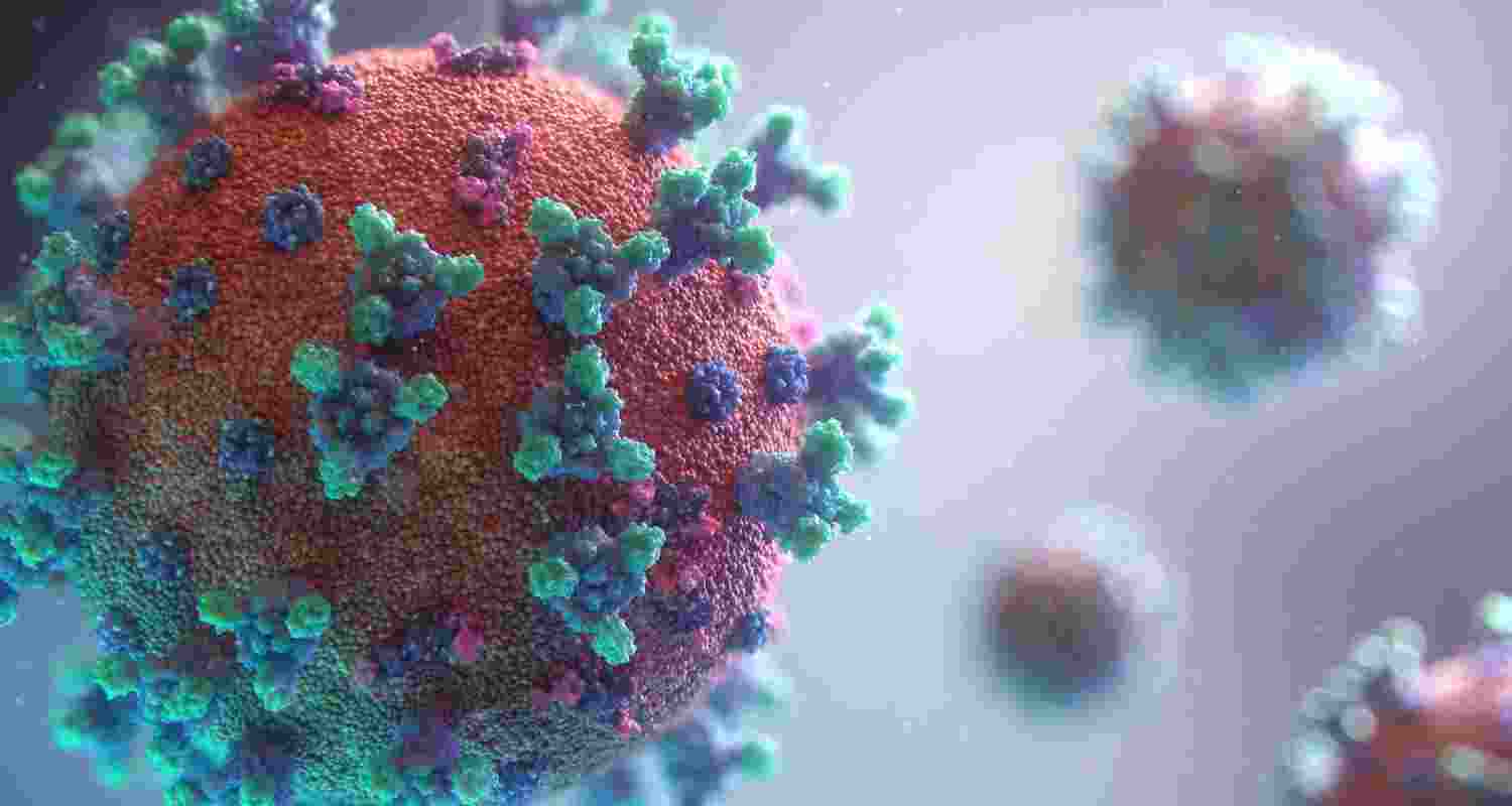 Nipah Virus vaccine invented. Nipah Virus vaccine invented.