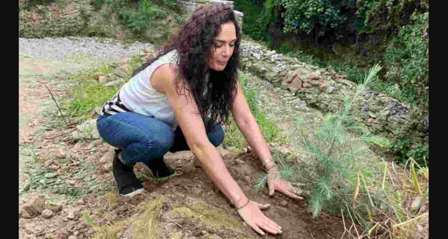 Preity Zinta plants cedar tree in Himachal, highlights 'giving back' Preity Zinta plants cedar tree in Himachal, highlights 'giving back'