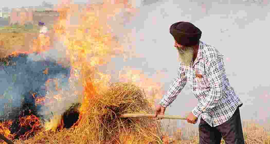 A representative image. A representative image.