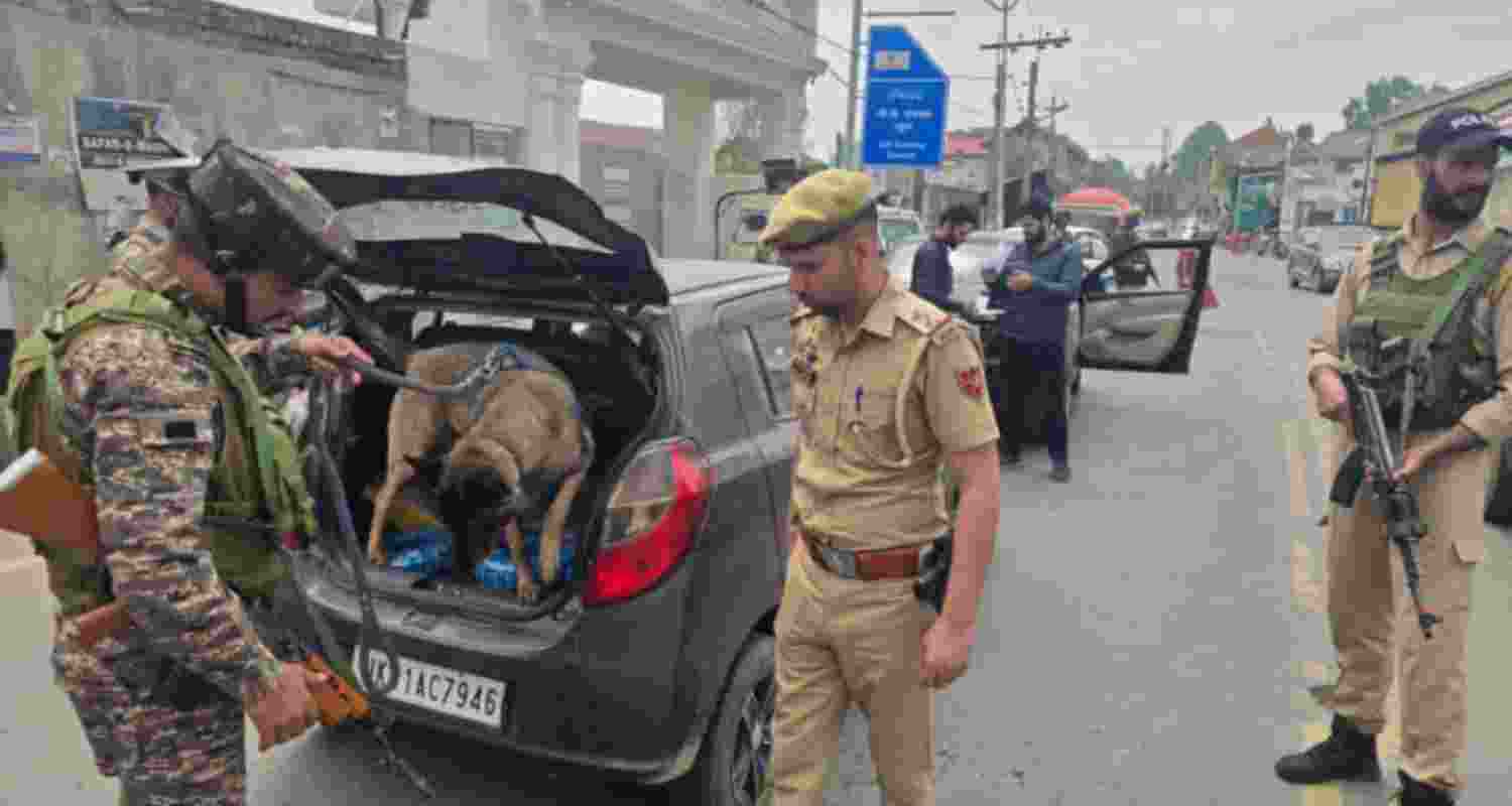 Narcotics dog squads deployed in Srinagar to check traffickers Narcotics dog squads deployed in Srinagar to check traffickers