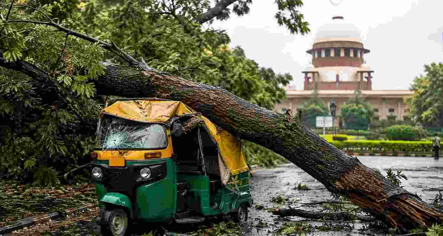 Tree branch falling on parked vehicle not a motor accident: SC Tree branch falling on parked vehicle not a motor accident: SC