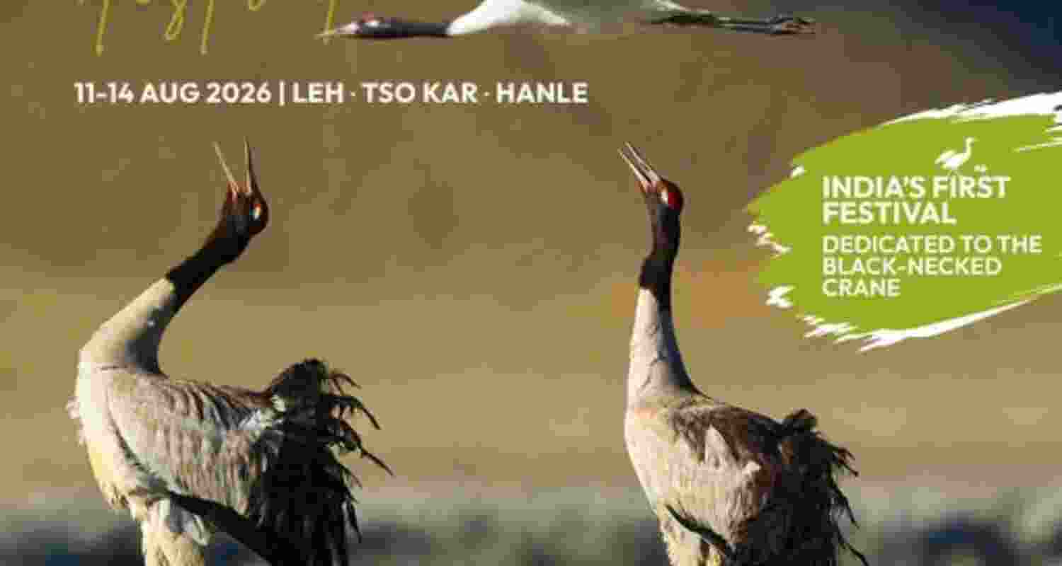 India's first 'Black necked crane' festival inaugurated in Leh India's first 'Black necked crane' festival inaugurated in Leh