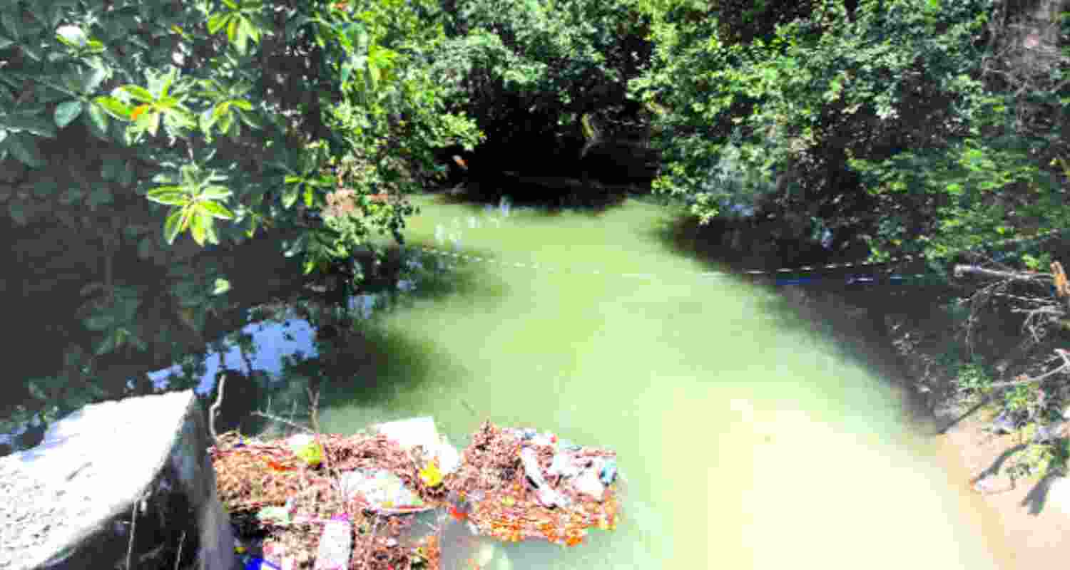 Ranbir canal on the Chenab river. Ranbir canal on the Chenab river.