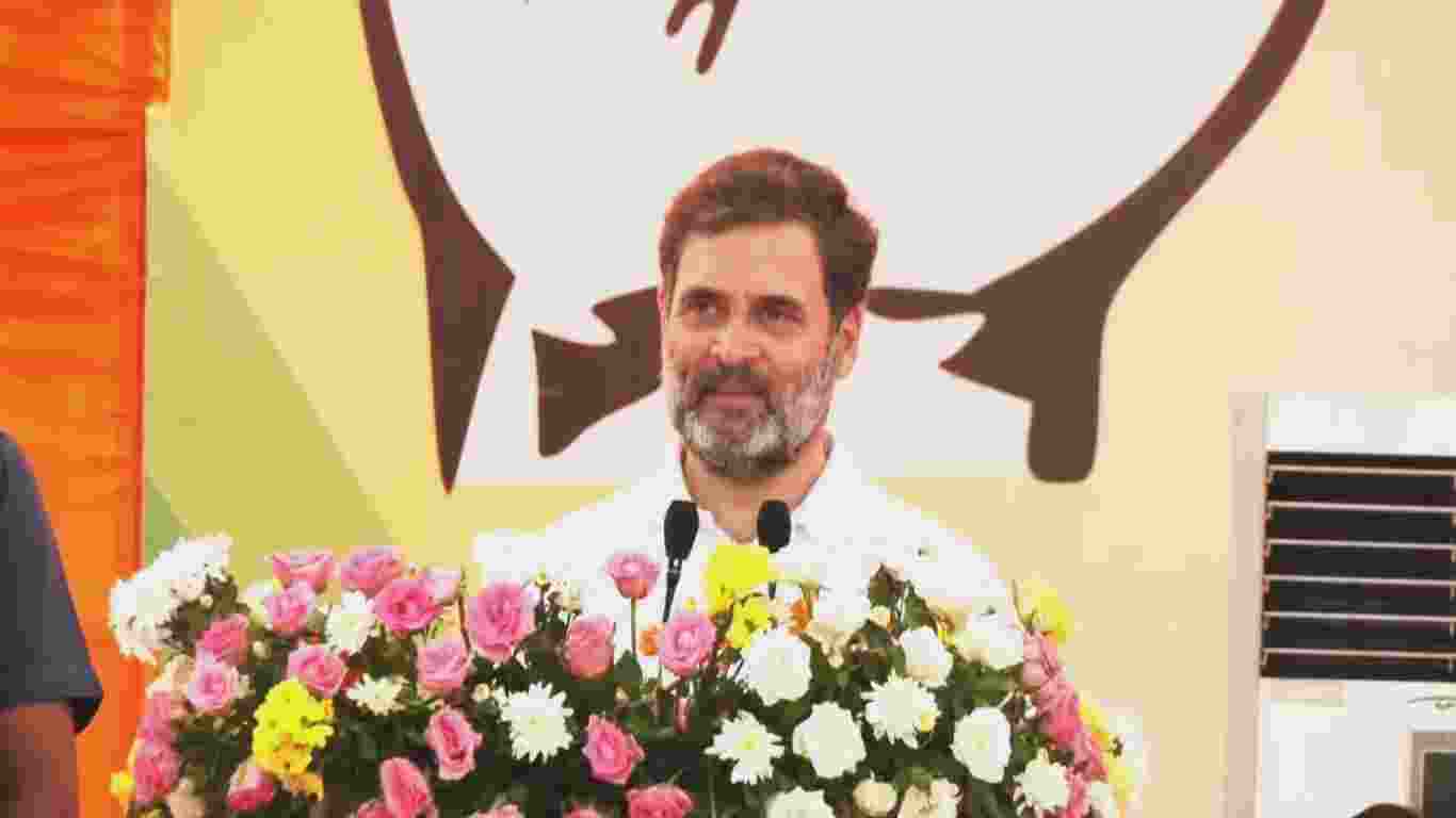 “Your democratic rights were snatched only to allow outsiders to govern and rule over you,” Gandhi said in Jammu on Wednesday. “Your democratic rights were snatched only to allow outsiders to govern and rule over you,” Gandhi said in Jammu on Wednesday.