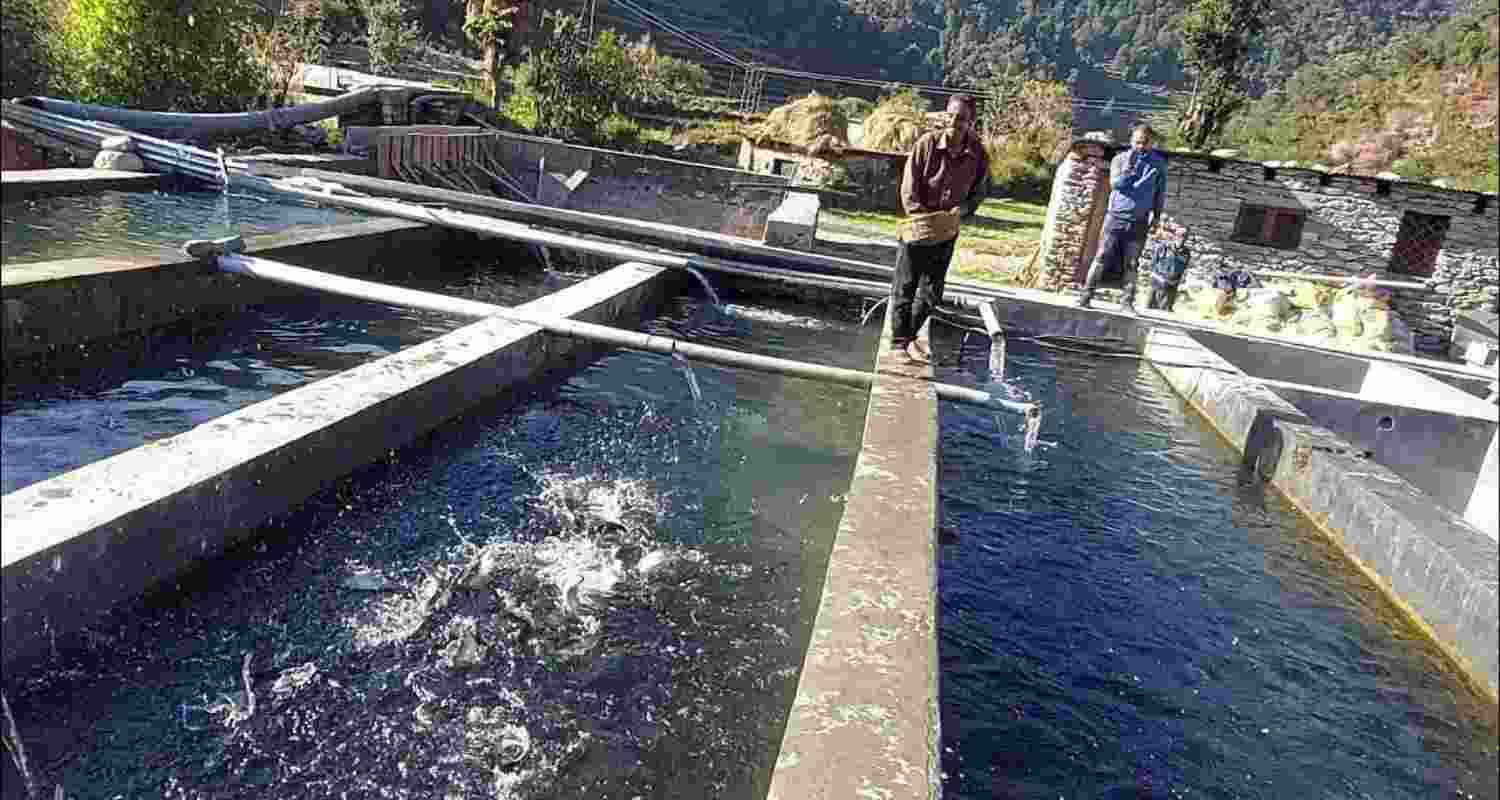 Representational Image Representational Image