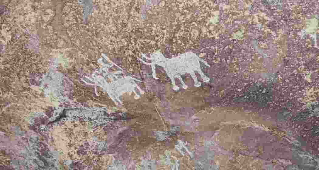 Photo for representational use only. (Image: X) Photo for representational use only. (Image: X)