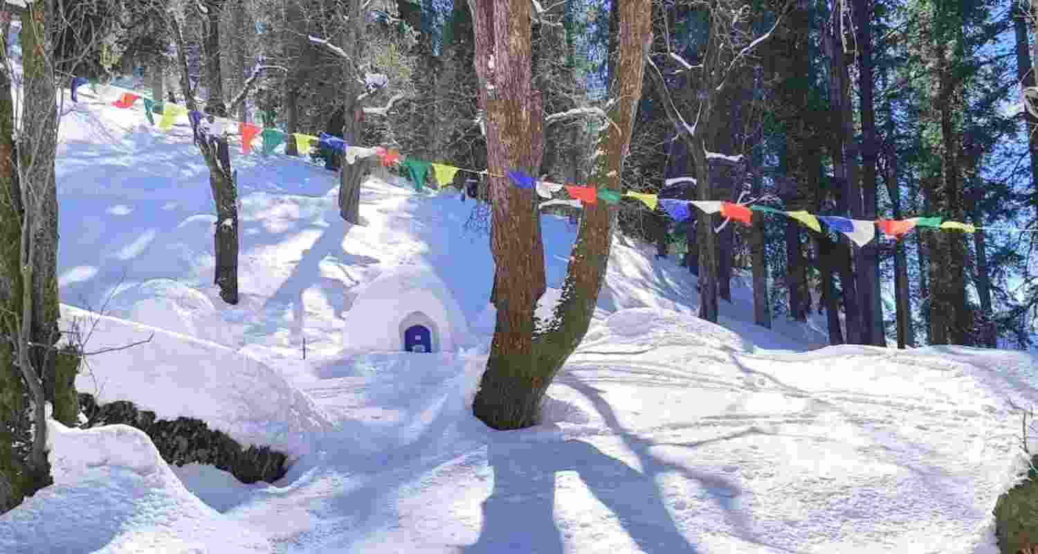 Sethan Igloo Village becomes a new attraction for tourists in Himachal Pradesh. Sethan Igloo Village becomes a new attraction for tourists in Himachal Pradesh.