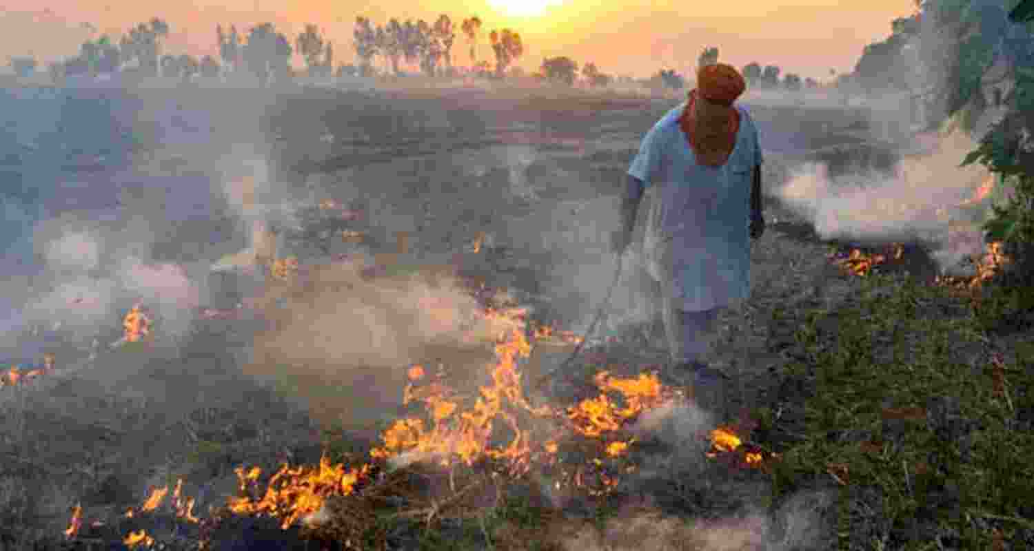 Representative Image. Representative Image.