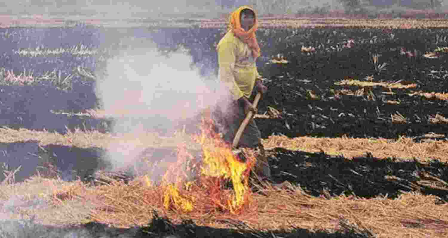 Representative Image. Representative Image.