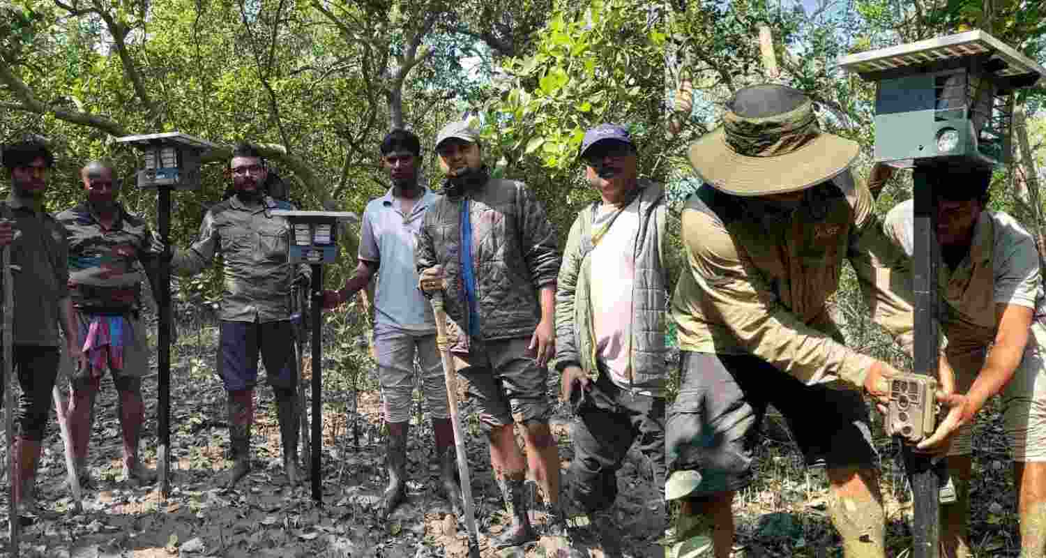 WTI, South 24 Parganas Forest Dept launch ANIDERS in Sundarbans to curb human-tiger conflict with early warning tech. WTI, South 24 Parganas Forest Dept launch ANIDERS in Sundarbans to curb human-tiger conflict with early warning tech.