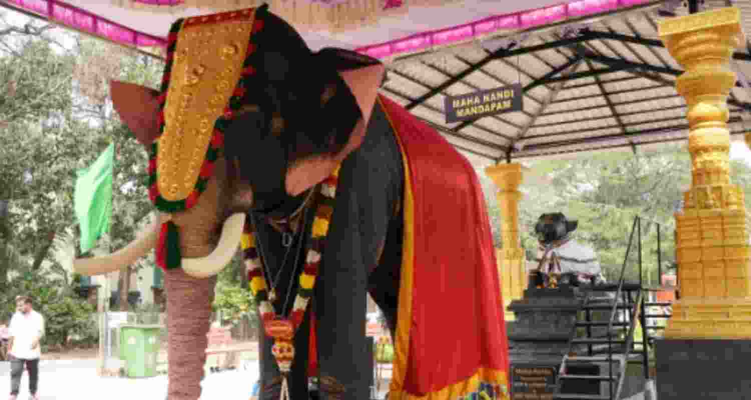 The robotic elephant that will assist in conducting temple ceremonies safely. The robotic elephant that will assist in conducting temple ceremonies safely.