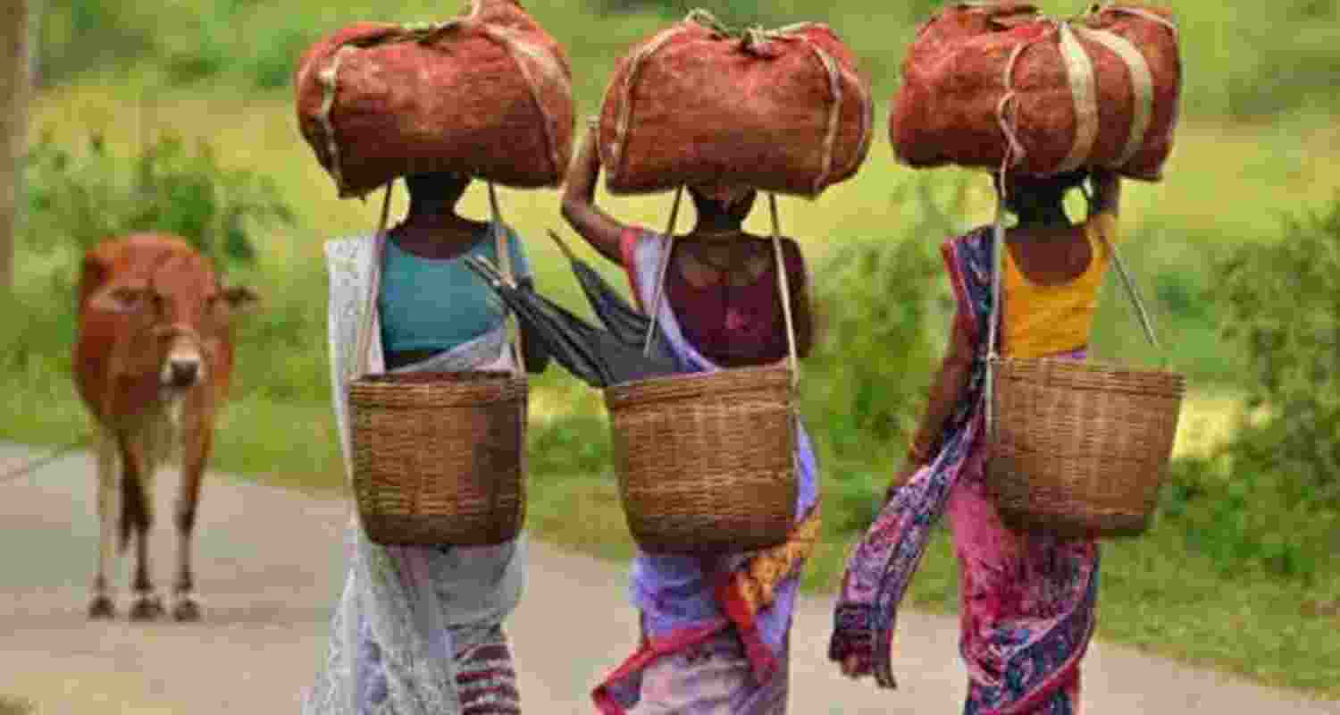 Image for representative use. Image for representative use.